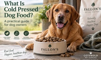 What Is Cold Pressed Dog Food? A Practical Guide for Dog Owners