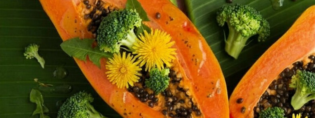 Human-Inspired & Superfood Dog Recipes: Why Recognisable Ingredients Matter