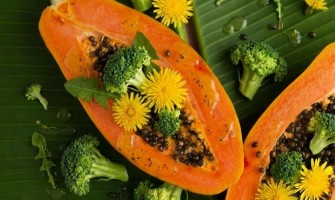 Human-Inspired & Superfood Dog Recipes: Why Recognisable Ingredients Matter