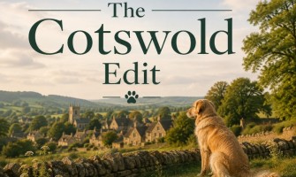 The Cotswold Edit: Pulling on the Lead, Choosing the Right Food & Practical Dog Advice