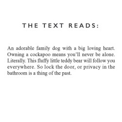 Cockapoo Ceramic Mug - Designed & Hand Finished in the UK 