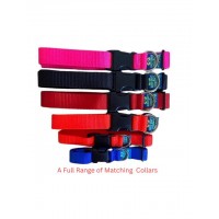 Walk Your Dog with Love Luxury Dog Collar (Sportso Doggo)
