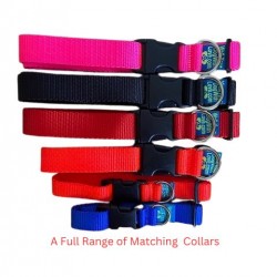 Walk Your Dog with Love Luxury Dog Collar (Sportso Doggo) Walk Your Dog with Love Luxury Dog Collar (Sportso Doggo)