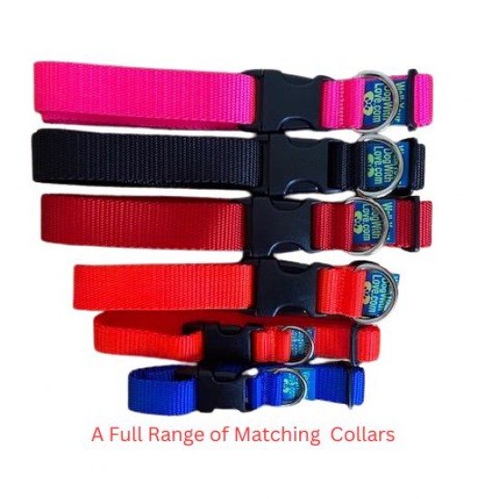 Walk Your Dog with Love Luxury Dog Collar (Sportso Doggo) Walk Your Dog with Love Luxury Dog Collar (Sportso Doggo)