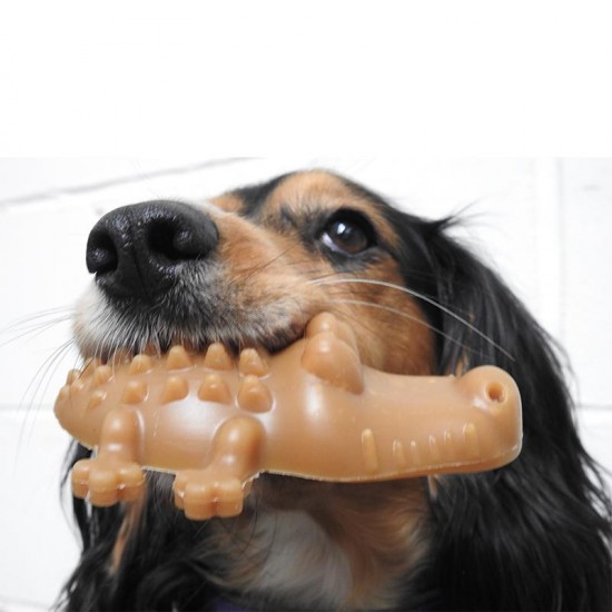 Crocodile clearance dog treats