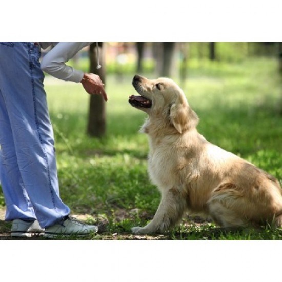 Barker&Barker Natural Liver Dog Training Treats -Medium Sized Treats