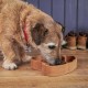 Cute Wooden Dog Bowl - Naturally Antibacterial Cute Wooden Dog Bowl - Naturally Antibacterial