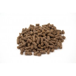Cold Pressed Beef 80/20 Grain Free Dog Food - alternative to Raw Feeding