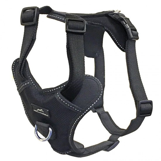 Miro Adventurer Dog Harness 