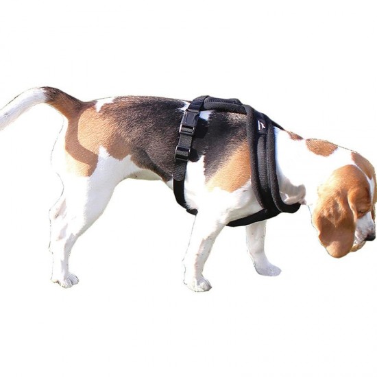Miro Premium Padded Dog Harness Miro Premium Padded Dog Harness
