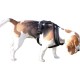 Miro Premium Padded Dog Harness Miro Premium Padded Dog Harness