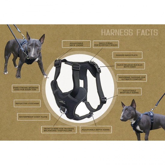 Miro Adventurer Dog Harness 
