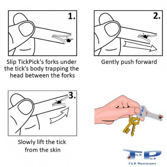 Tick Pick Portable Dog Tick Remover