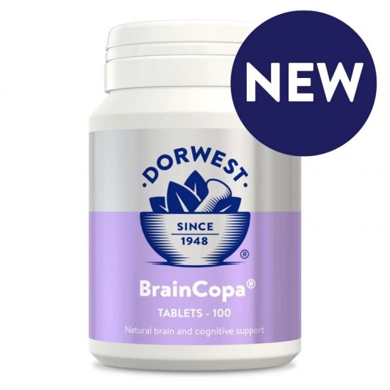 Dorwest BrainCopa Cognitive Support - Older Dogs - Dog Dementia