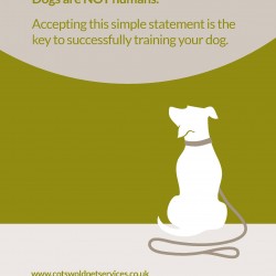 The Fido Fax - Dog Training & Behaviour Manual  signed copy 