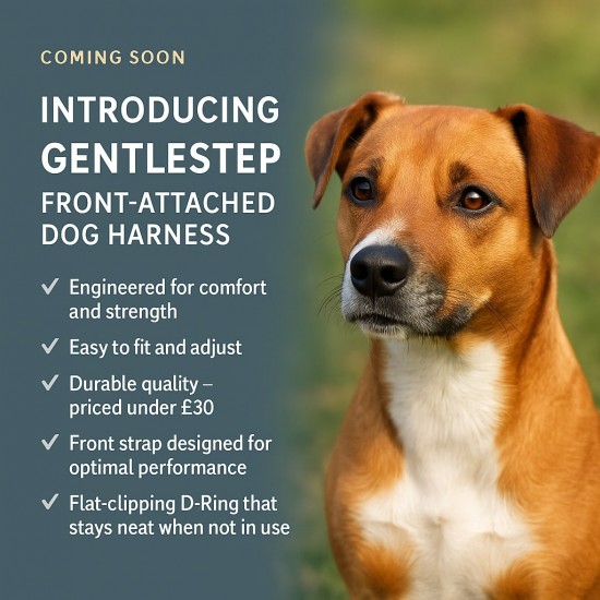 GentleStep Dog Harness - Coming Soon!