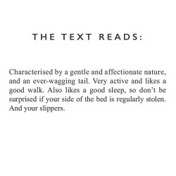 Golden Retriever Ceramic Mug - Designed & Hand Finished in the UK 