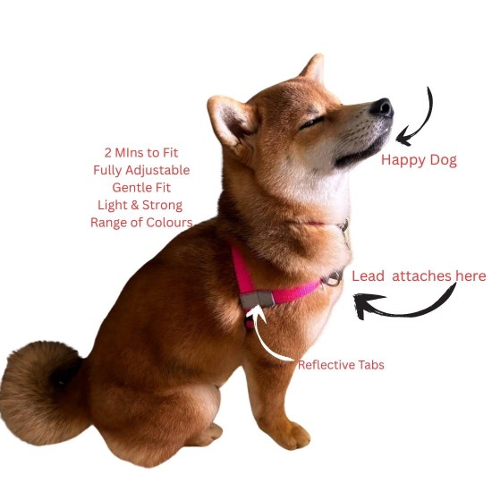 Walk Your Dog With Love Sportso Doggo No Pull Dog Harness Walk Your Dog With Love Sportso Doggo No Pull Dog Harness