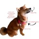 Walk Your Dog With Love Sportso Doggo No Pull Dog Harness Walk Your Dog With Love Sportso Doggo No Pull Dog Harness