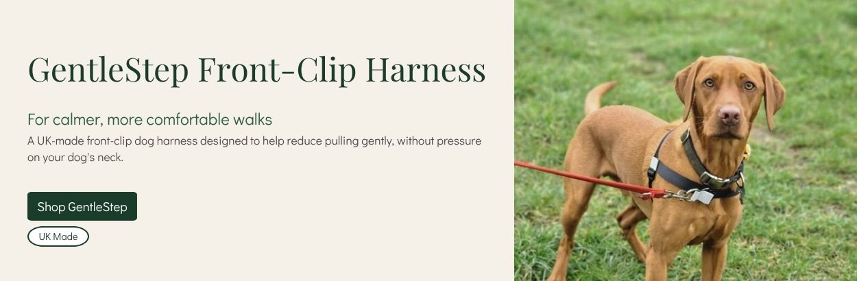 Harness