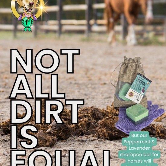 The Horse One - Peppermint & Lavender Shampoo Bar by Tilly and Family The Horse One - Peppermint & Lavender Shampoo Bar by Tilly and Family