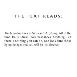 Labrador Ceramic Mug - Designed & Hand Finished in the UK 