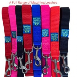 Walk Your Dog With Love -  Luxury Dog Leash  Walk Your Dog With Love -  Luxury Dog Leash