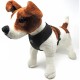 Miro & Makauri Classic over the head air mesh dog harness Miro & Makauri Classic over the head air mesh dog harness