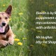 Ron Fields Remount Ayurvedic Capsules for Dogs - Itchy Skin - Liver & Immune Support Ron Fields Remount Ayurvedic Capsules for Dogs - Itchy Skin - Liver & Immune Support