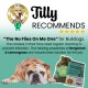 No Flies on Me Bergamot & Lemongrass Dog Shampoo Bar by Tilly and Family No Flies on Me Bergamot & Lemongrass Dog Shampoo Bar by Tilly and Family