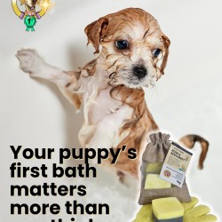 The Puppy Pamper One Rose & Bergamot Shampoo Bar by Tilly and Family The Puppy Pamper One Rose & Bergamot Shampoo Bar by Tilly and Family