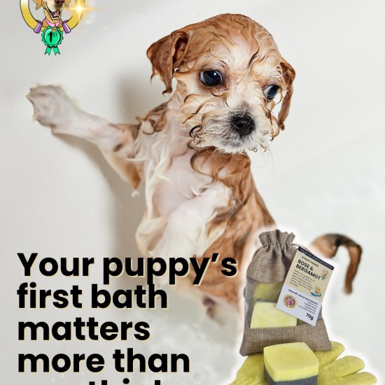 The Puppy Pamper One Rose & Bergamot Shampoo Bar by Tilly and Family