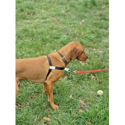 GentleStep Front-Clip Dog Harness | Comfortable No-Pull Dog Harness