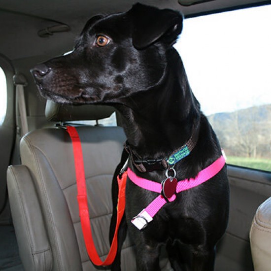 Walk Your Dog with Love - Dog Car Safety Belt