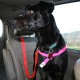 Walk Your Dog with Love - Dog Car Safety Belt