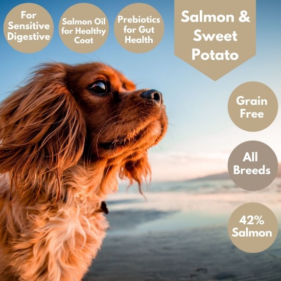 Salmon & Sweet Potato Dog Food - 42% Salmon - Sensitive - Salmon Oil for Skin & Coat