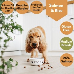 Salmon & Rice Dog Food - 26% Salmon - Allergies Salmon & Rice Dog Food - 26% Salmon - Allergies