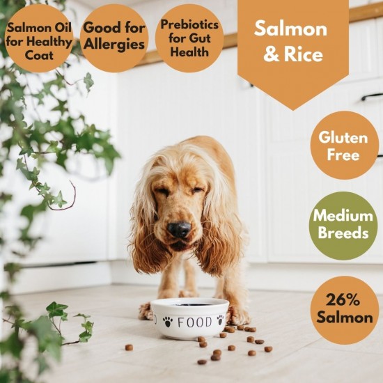 Salmon & Rice Dog Food - 26% Salmon - Allergies