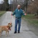 Dog walking belt - Black Dog walking belt - Black